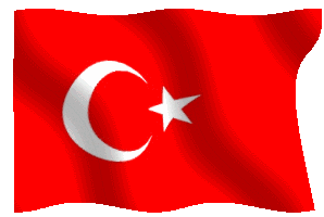 turkeyflag